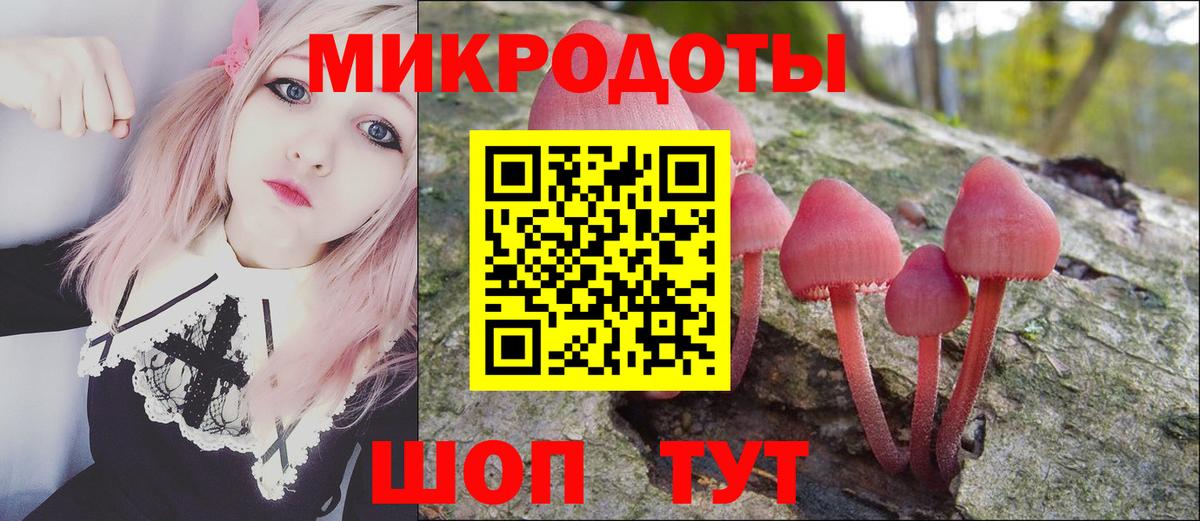 Галлюциногенные грибы прущие грибы Аргун